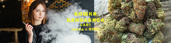 мет Пестово