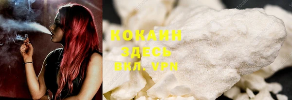 прущая мука Пересвет
