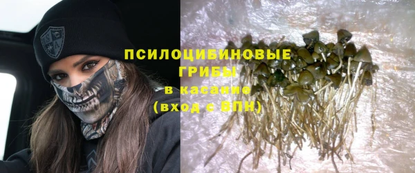 прущая мука Пересвет