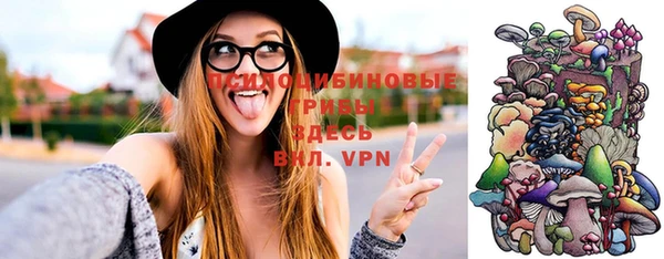 прущая мука Пересвет